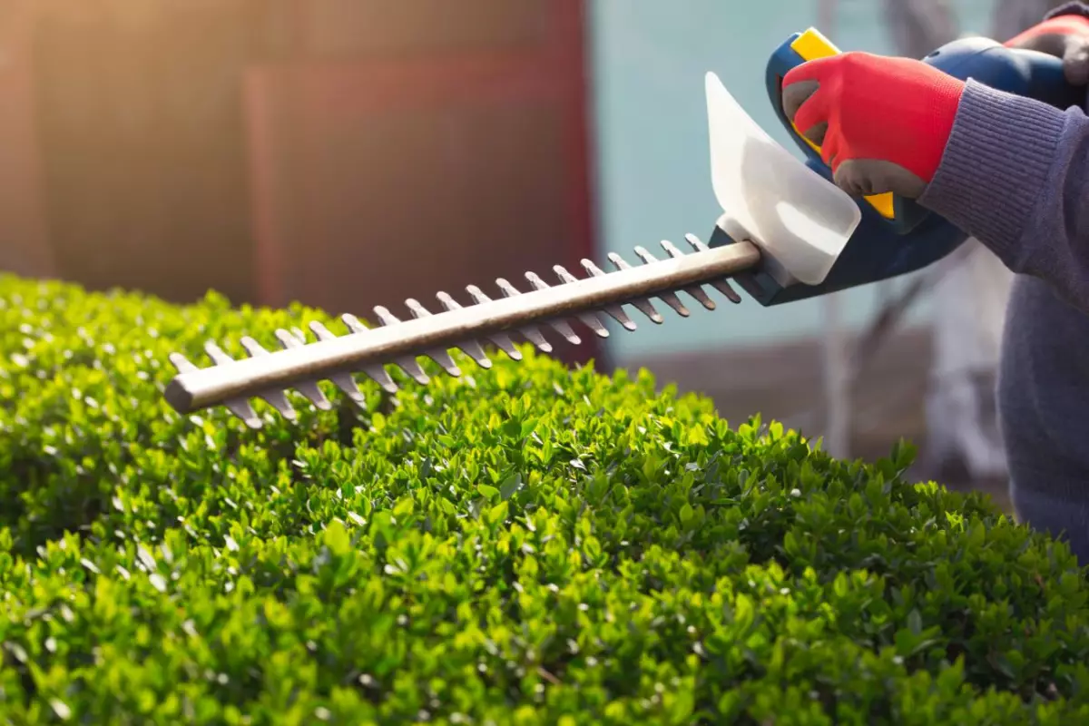 Entretien jardin Seclin